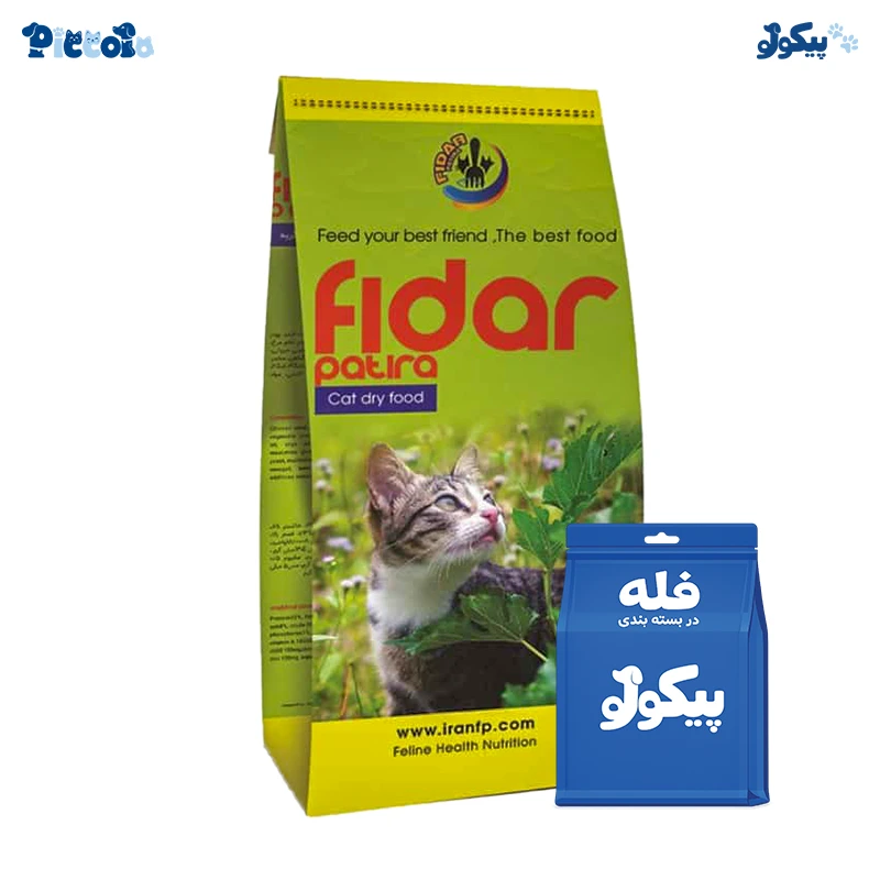 فیدار بچه گربه | fidar kitten