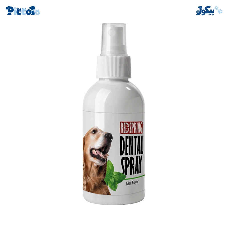 اسپری دنتال رد اسپرینگ عصاره نعنا | Redspring Dental Spray Mint 60ml