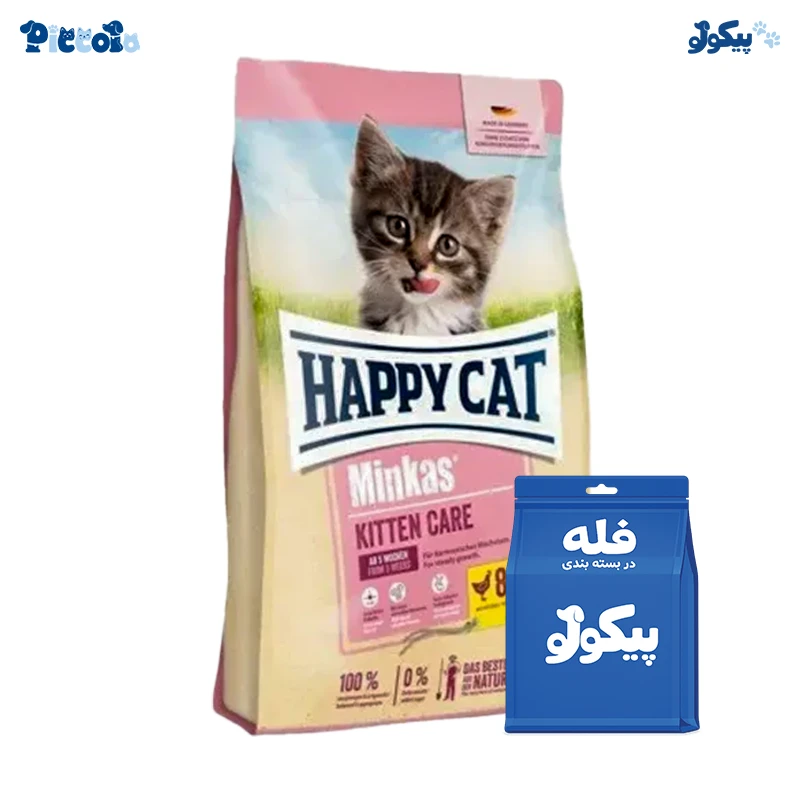 هپی کت بچه گربه | happy cat kitten