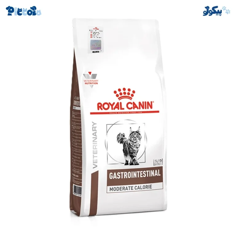 رویال کنین گسترو اینستینال | royal canin fussy exigent 2kg