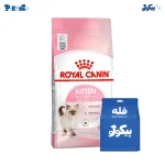 رویال کنین بچه گربه | royal canin kitten