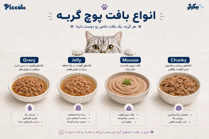 انواع پوچ گربه براساس طعم 