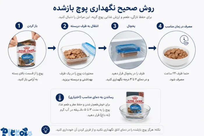 روش صحیح نگهداری از پوچ گربه 