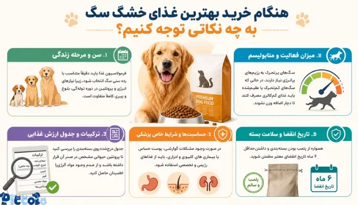 نکاتی مهم برای خرید غذای خشک مخصوص سگ 
