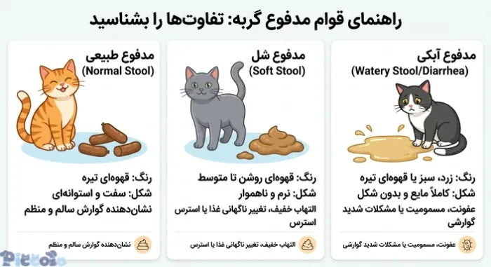 راهنمای قوام مدفوع گربه