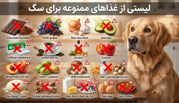 لیستی از غذاهای ممنوعه برای سگ