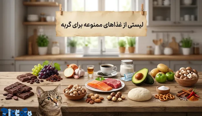 غذاهای ممنوعه برای گربه
