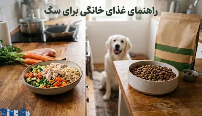 غذای خانگی برای سگ