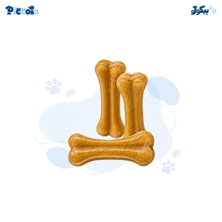 تشویقی سگ استخوانی ژلاتینی 7 سانتی زیستار | Zistar Gelatin Bone Treat 7cm