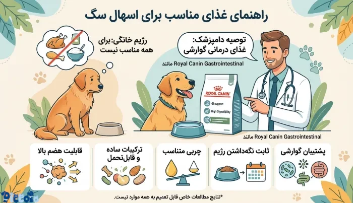 غذای مناسب برای اسهال سگ