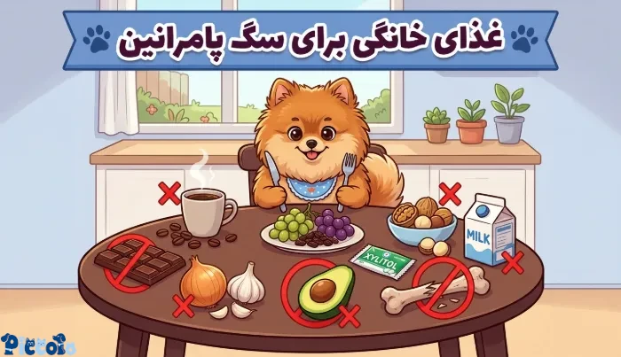 غذای خانگی سگ پامرانین