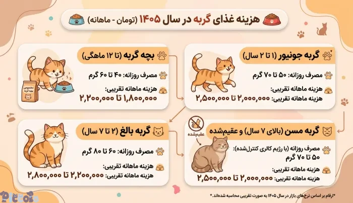 هزینه غذای گربه در سال 1405 