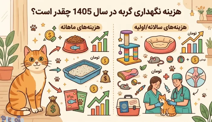 هزینه نگهداری گربه در 1405