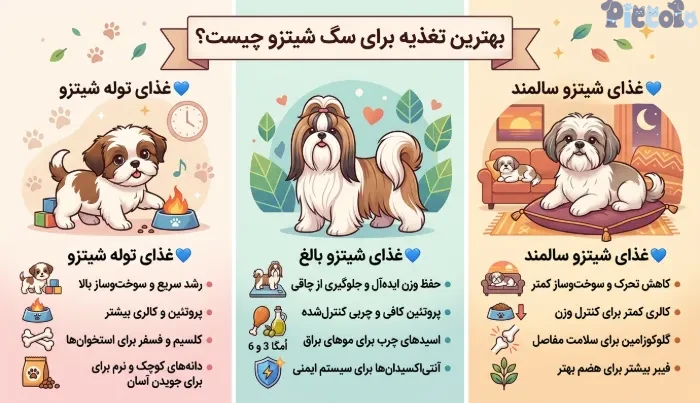 غذای سگ شیتزو در سنین مختلف 