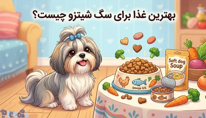 غذای سگ شیتزو