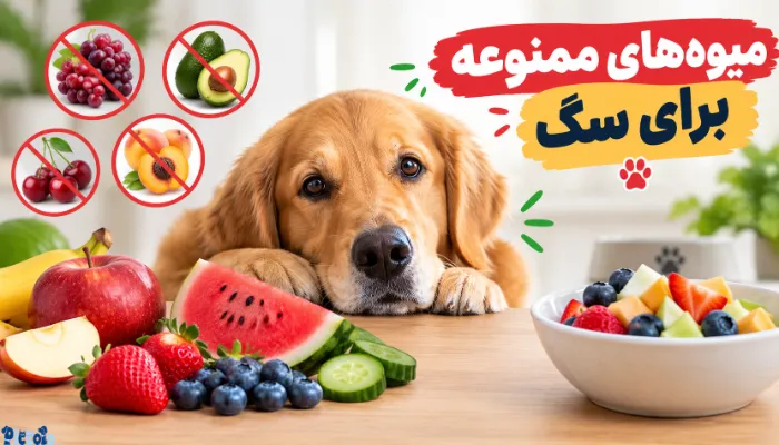 غذای ممنوعه برای سگ